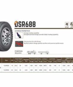 10.00-Doublestar-DSR688-1