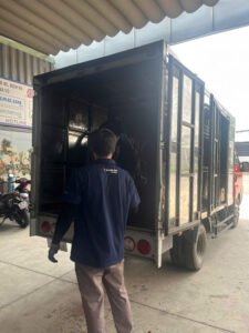 Cứu Hộ